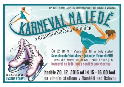 20.12.2015 Karneval na ledě