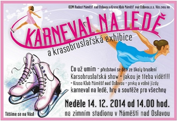 V neděli 14.12.2014 karneval na ZS v Náměšti n. O.!!!